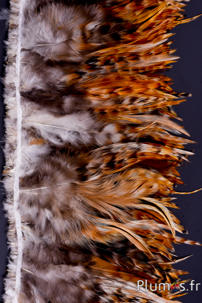 https://www.plumes.fr/images/Frange%20coq%20chin%20foncé-1.jpg